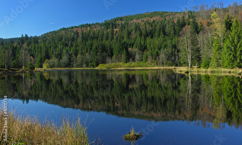 Tourbière de Lispach
