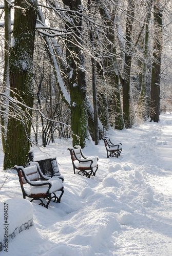 Red benches in a park covered with snow