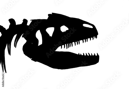 Dinosaur Skeleton  Not Vector 