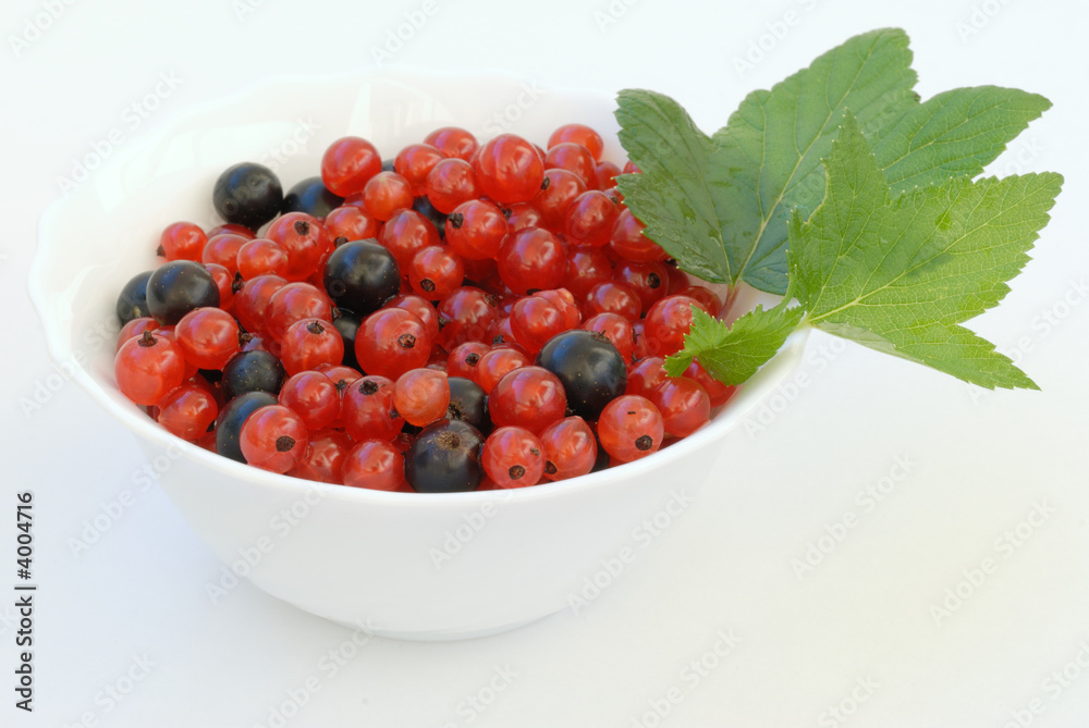 currants currants