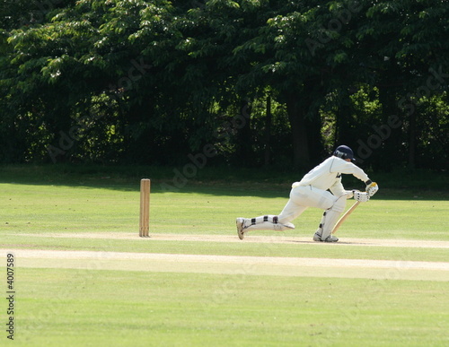 cricket
