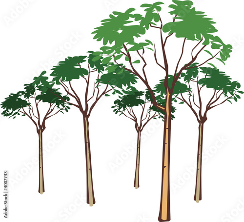 Arbre