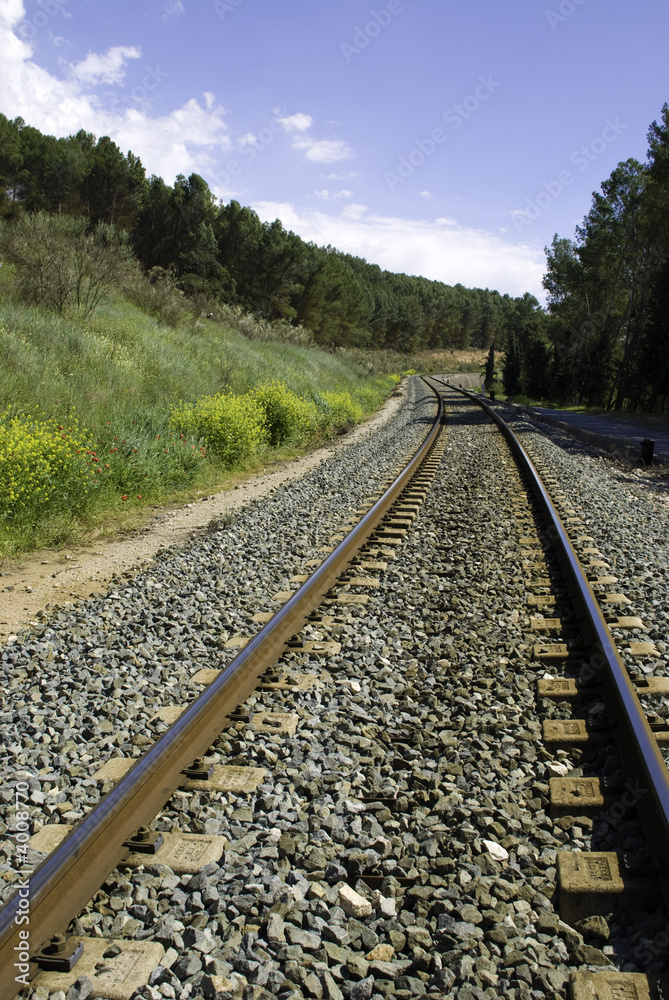 Obraz premium Vía de tren