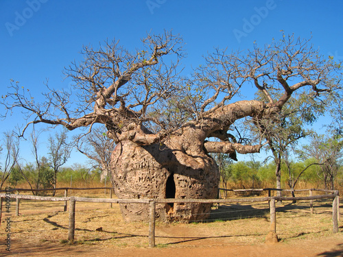 Bottle Tree