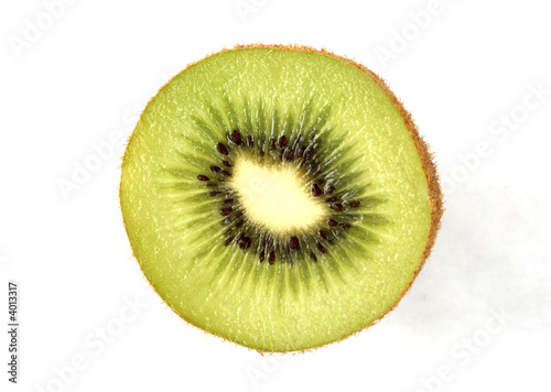 kiwi