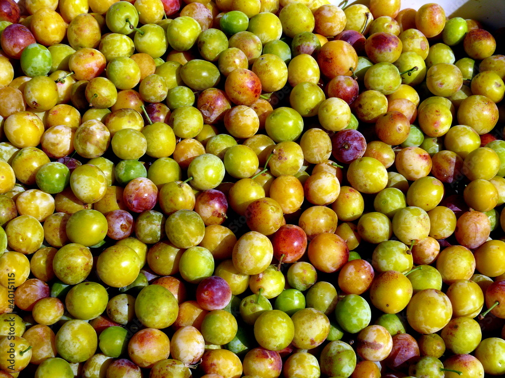 Mirabelles empilées