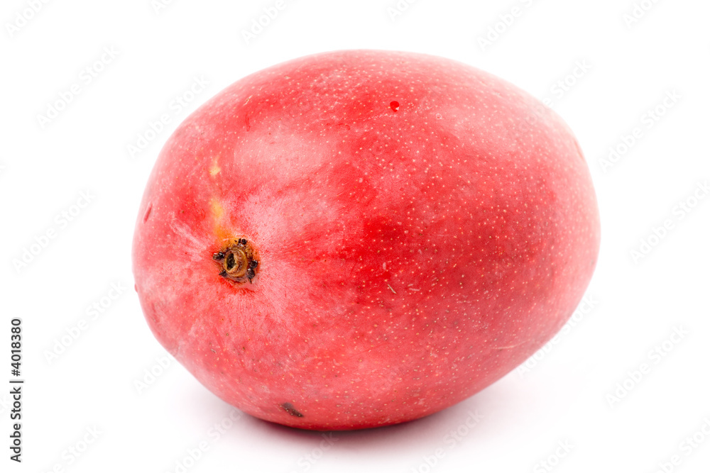 Mango Mango
