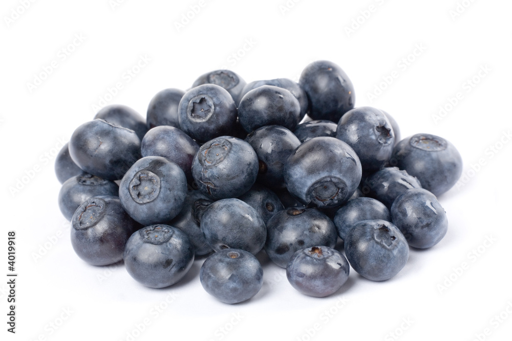 Blueberry Blueberry