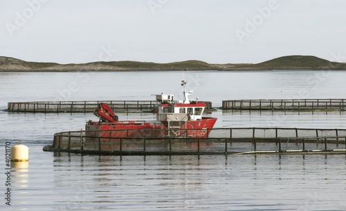 Sea farm photo