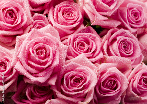 Pink freshness
