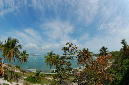 The Florida Keys © Sirena Designs