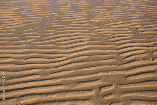 Sand Ripple on the beach 05