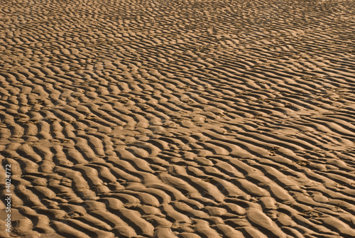 Sand Ripple on the beach 01
