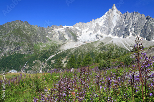 Montagne fleurie