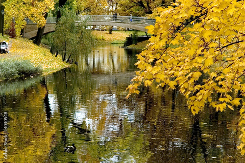 Fototapeta Naklejka Na Ścianę i Meble -  Autumn in park