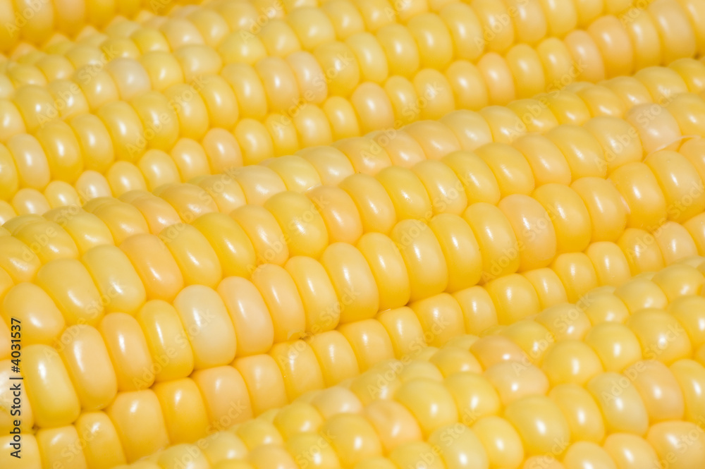 Corn background Corn background