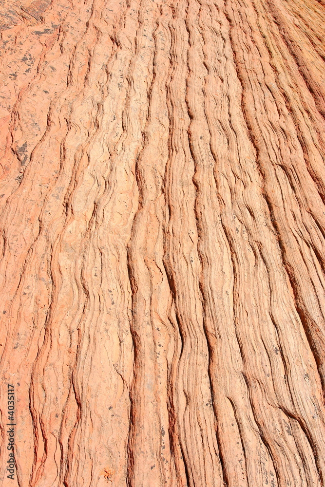 Sandstone, roche de l'Utah, West USA Sandstone, roche de l'Utah, West USA