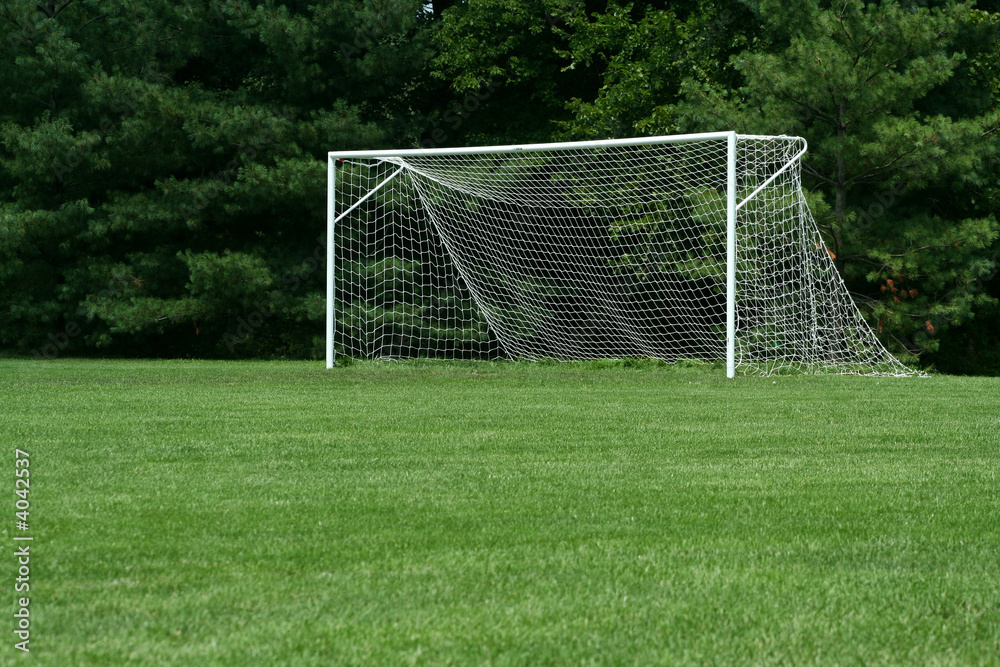 custom made wallpaper toronto digitalSoccer Net