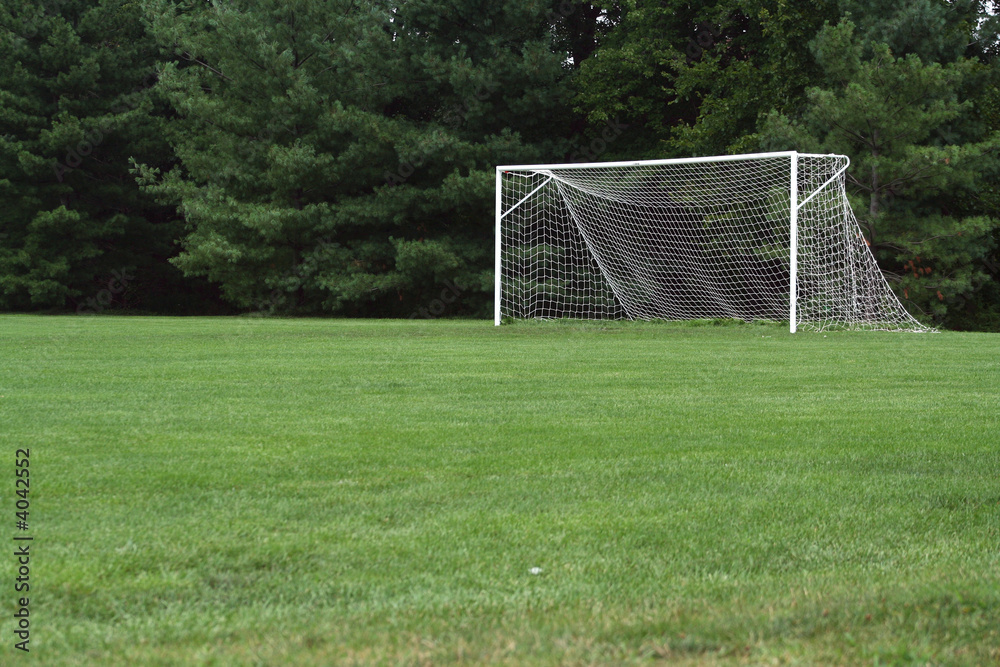 Fototapeta premium Soccer Net
