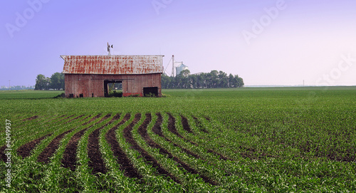 Foto farmland
