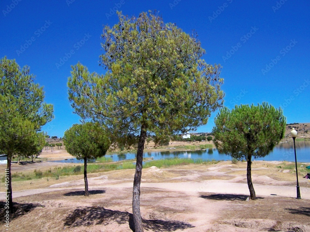 Obraz premium Embalse de Proserpina