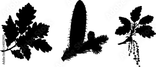 Blätter 3