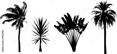 Palme 2