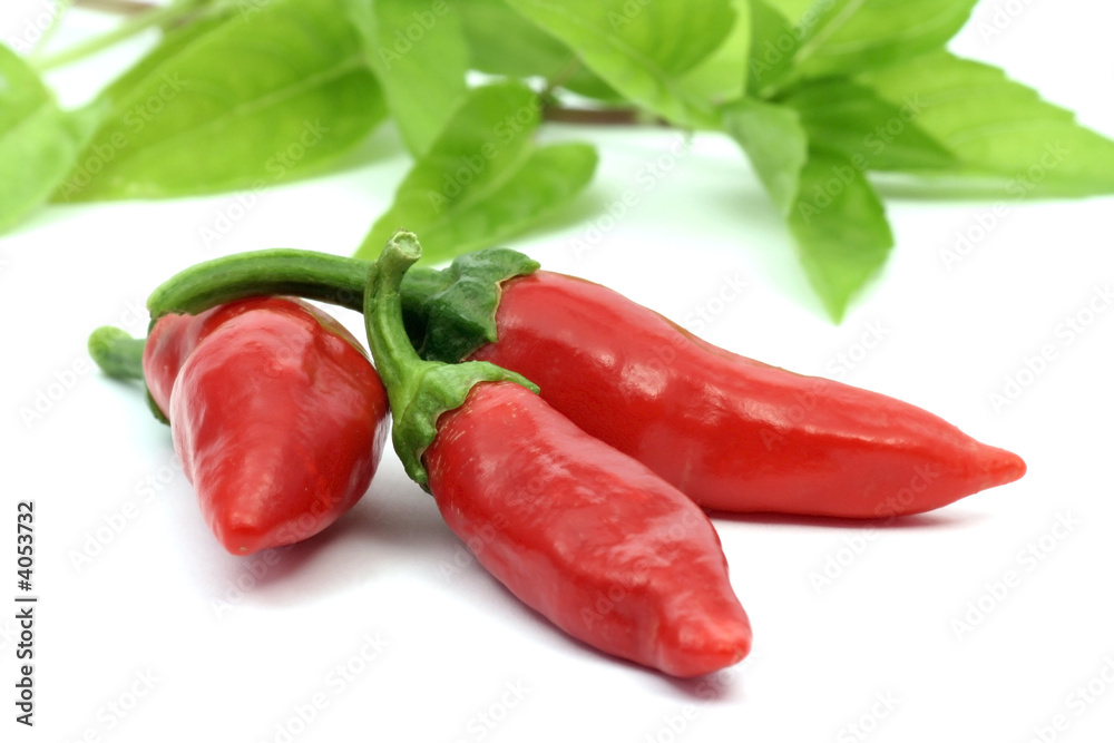 red chili peppers red chili peppers