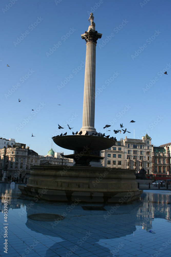 Nelson's column and pigeons Trafalgar Square