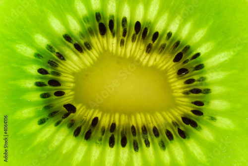 Close-up of kiwi