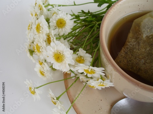 Canvas Print tisane