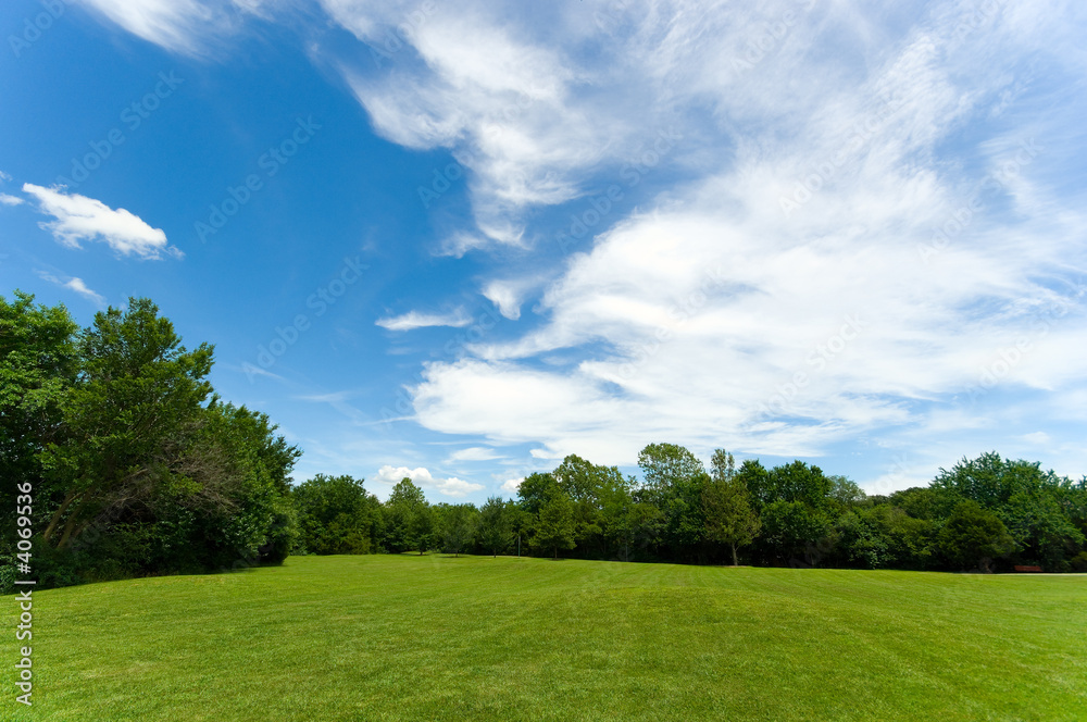 Park Scene