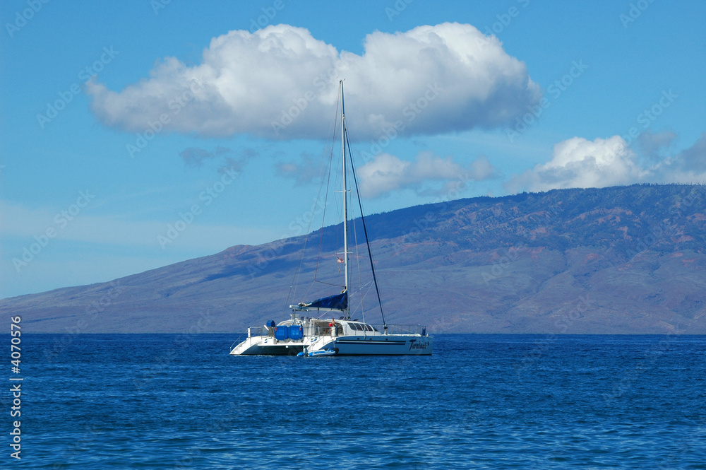 Fototapeta premium catamaran in maui