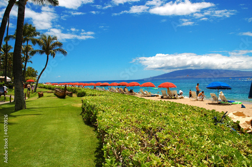 maui
