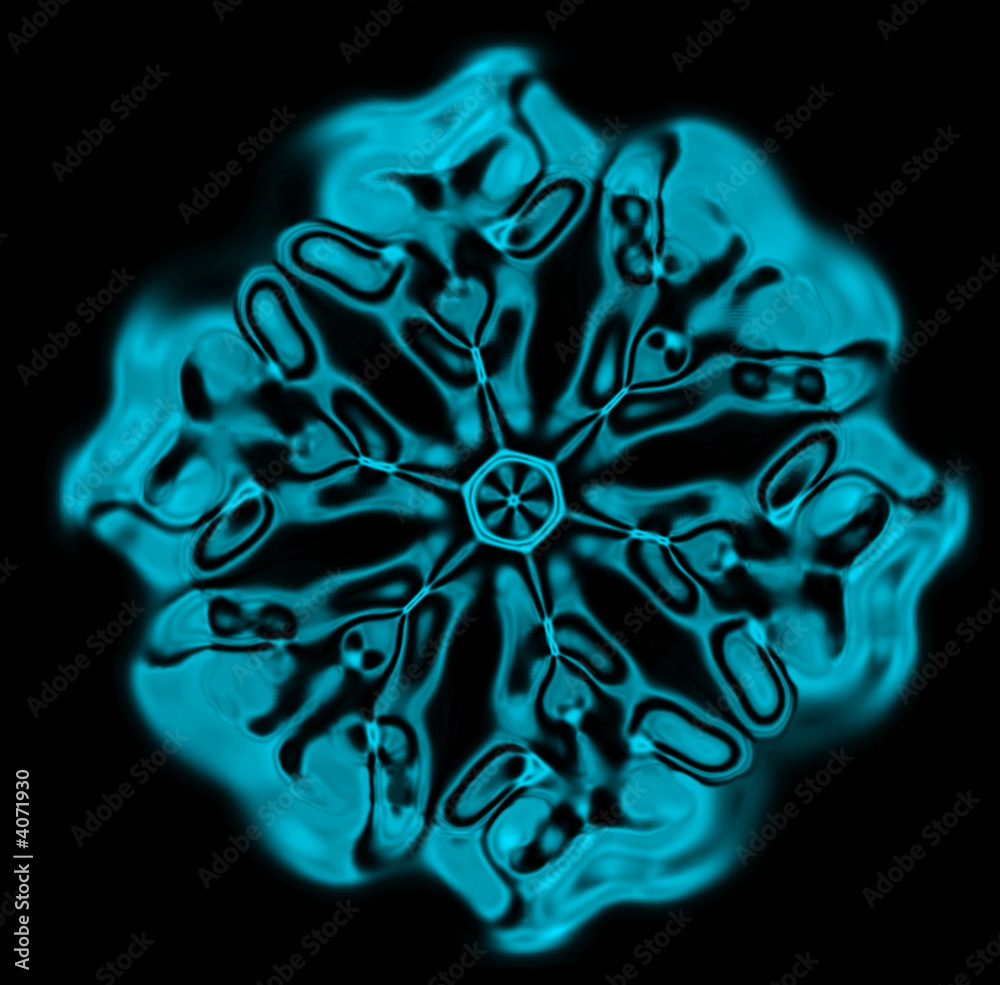 Obraz premium snowflake