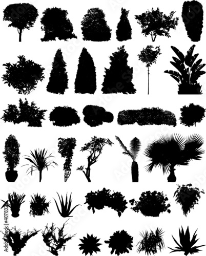 35 trees shrubberies flowers