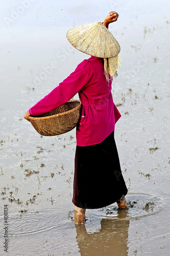 People of Vietnam #4081134