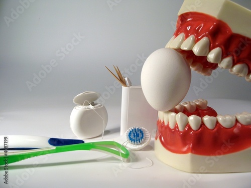 teeth model