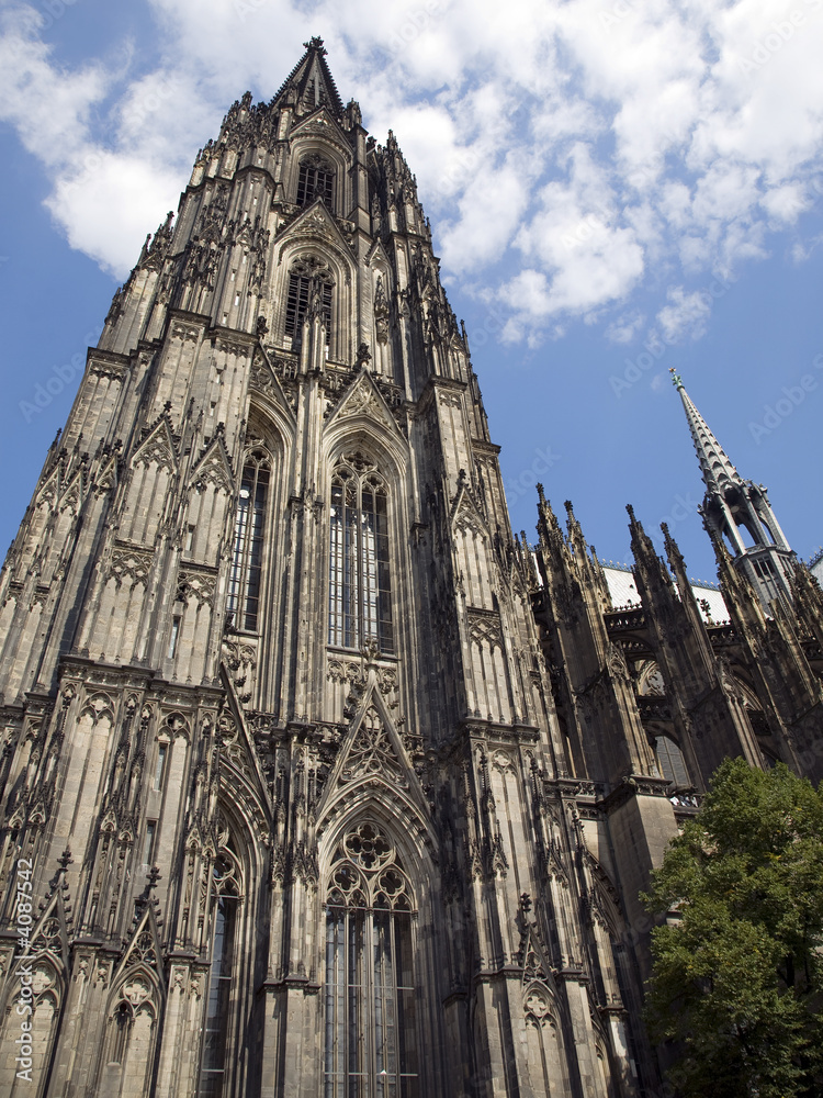 Fototapeta premium Dom XIII