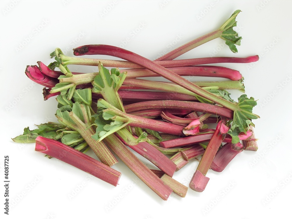 pieplant edible stems for spring compote