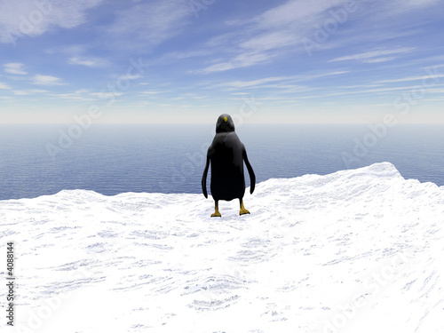 Lonely penguin