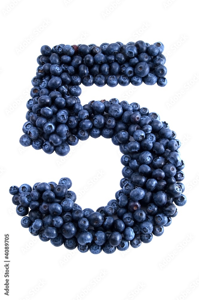 Blue-berry-a-tion-5 Blue-berry-a-tion-5