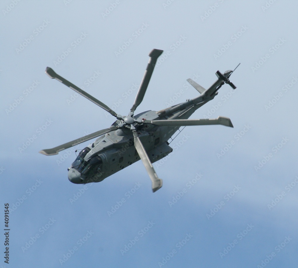 Fototapeta premium Merlin