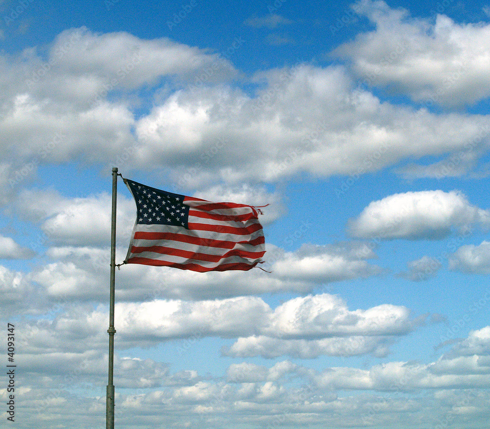 Naklejka premium IN THE WIND