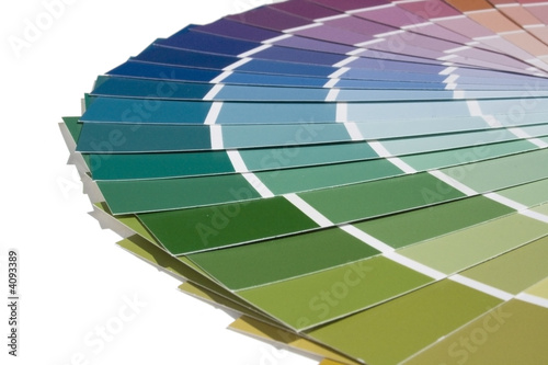 Paint Swatches