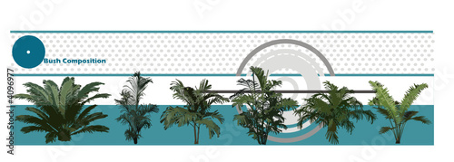 composicion de plantas