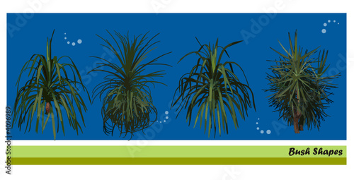 vector de plantas