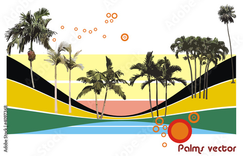composicion de palmas