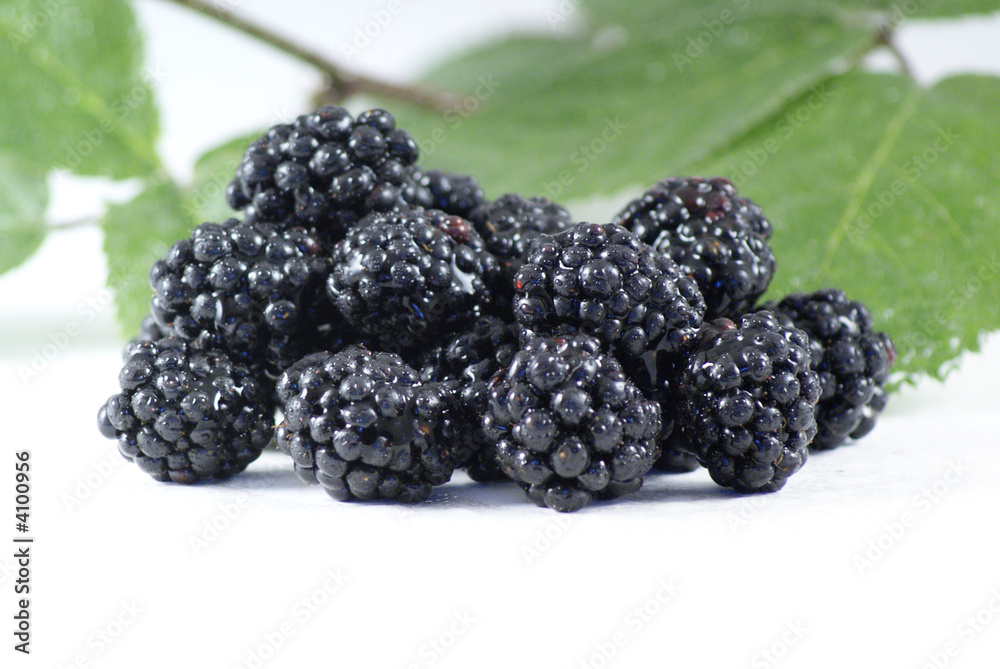 Blackberries Blackberries