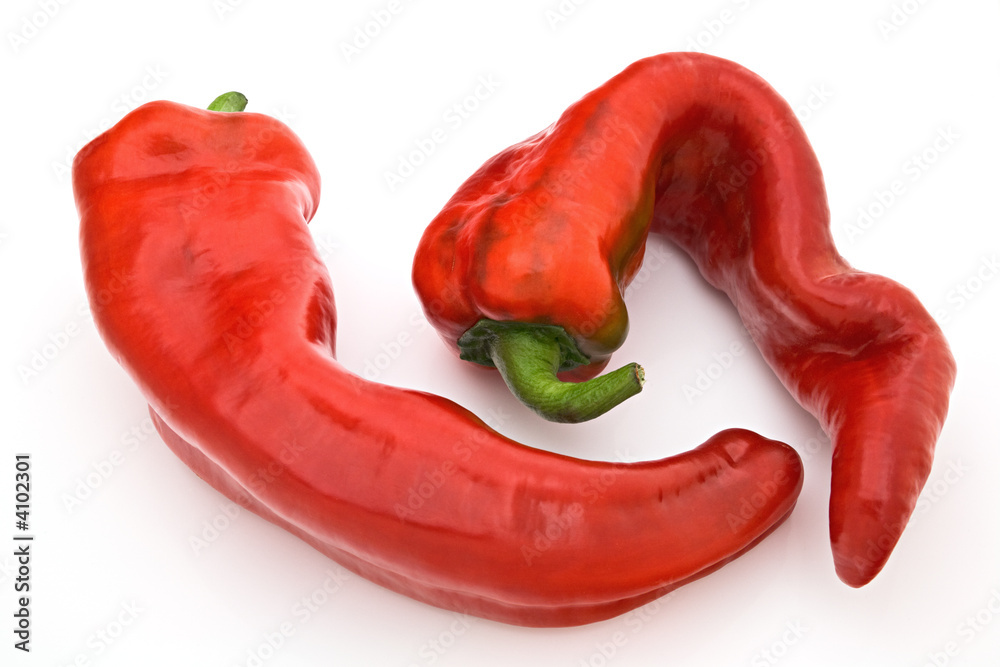 Bell Pepper Bell Pepper